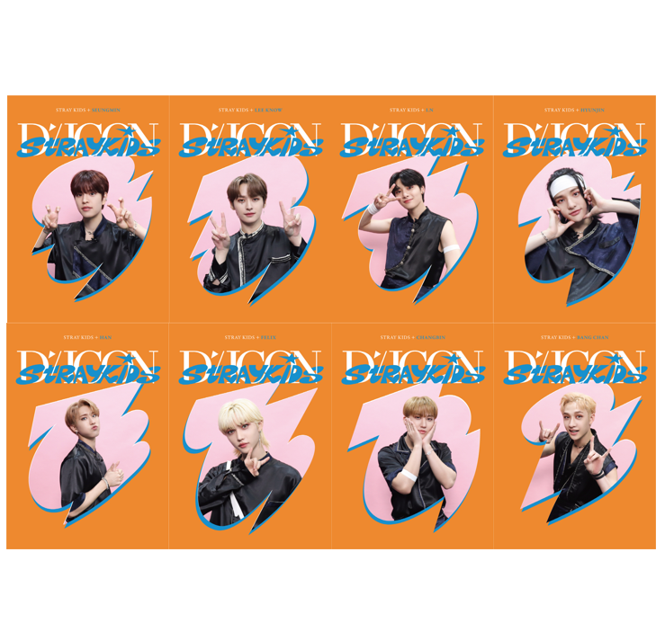 [Member Selectable] DICON D’FESTA MINI EDITION : Stray Kids 